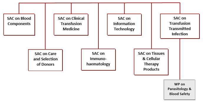 Framework Organisation Chart