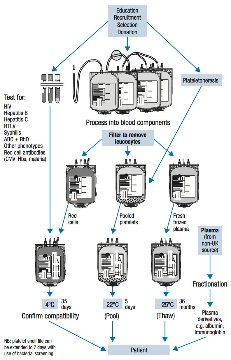 Blood Transfusion Monitoring Chart